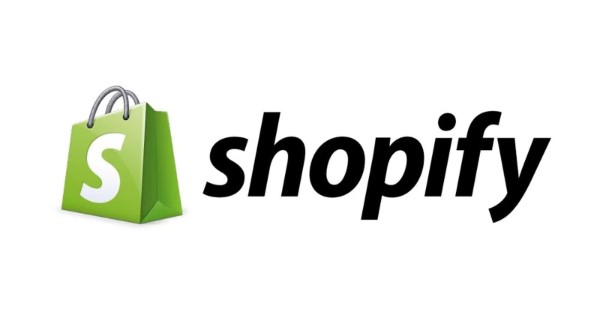 I will set up your shopify store and website